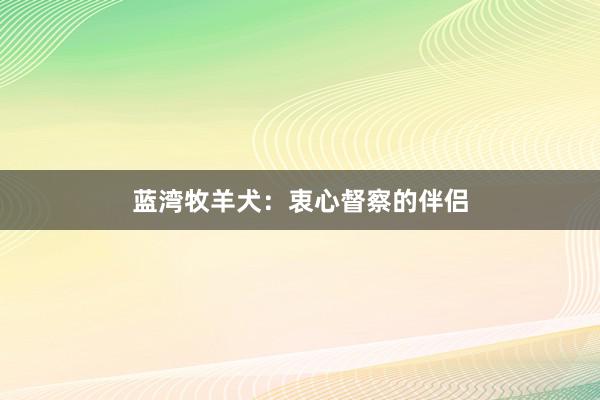 蓝湾牧羊犬：衷心督察的伴侣